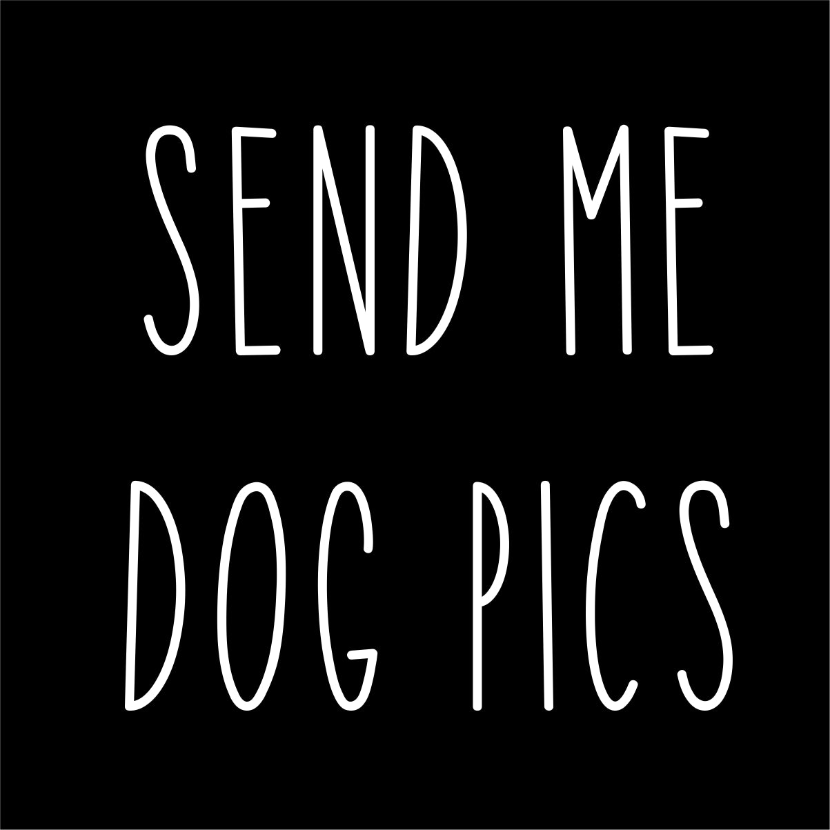 Juodas UNISEX džemperis be gobtuvo "Send me dog pics"