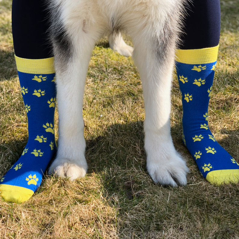 Šuniuko pėdutės - Linksmos kojinės (Penguin socks)