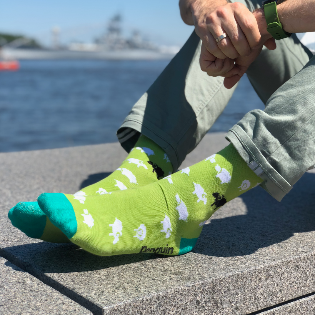 Avys pievoje - Linksmos žalios kojinės vyrams (Penguin socks)