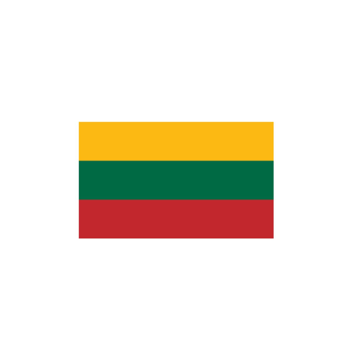 Balti vyriški polo marškinėliai  "LT vėliava"