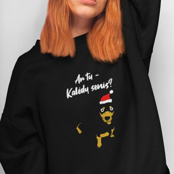 Juodas UNISEX kalėdinis džemperis be gobtuvo "Ar tu Kalėdų senis?"