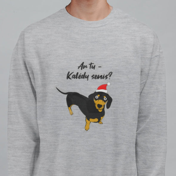 Pilkas melanžinis UNISEX kalėdinis džemperis be gobtuvo "Ar tu Kalėdų senis?"
