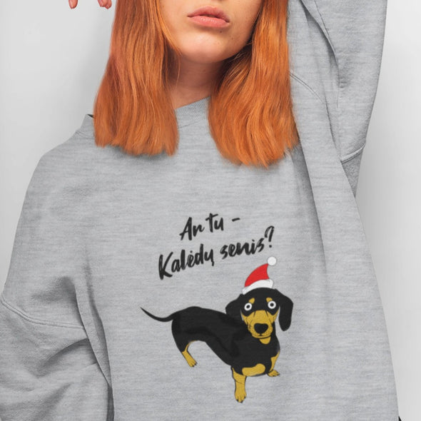 Pilkas melanžinis UNISEX kalėdinis džemperis be gobtuvo "Ar tu Kalėdų senis?"