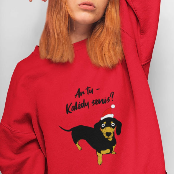 Raudonas UNISEX kalėdinis džemperis be gobtuvo "Ar tu Kalėdų senis?"