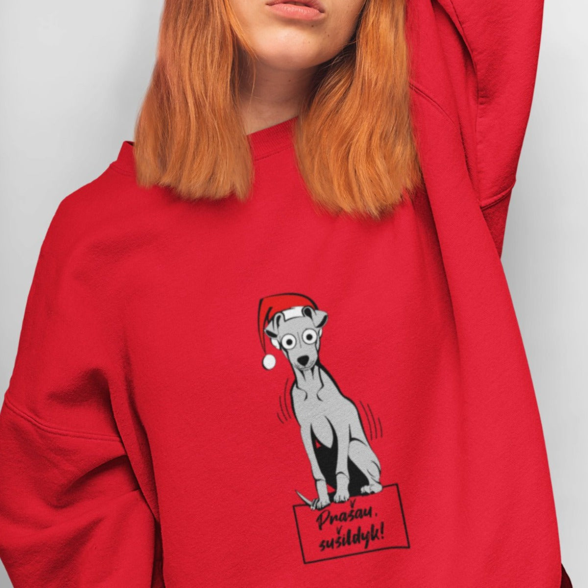 Raudonas UNISEX kalėdinis džemperis be gobtuvo "Prašau sušildyk"