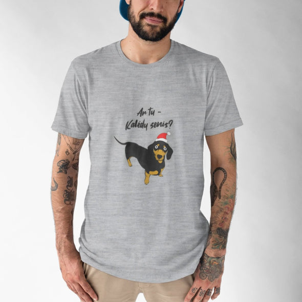 Pilki melanžiniai UNISEX kalėdiniai marškinėliai "Ar tu Kalėdų senis?"