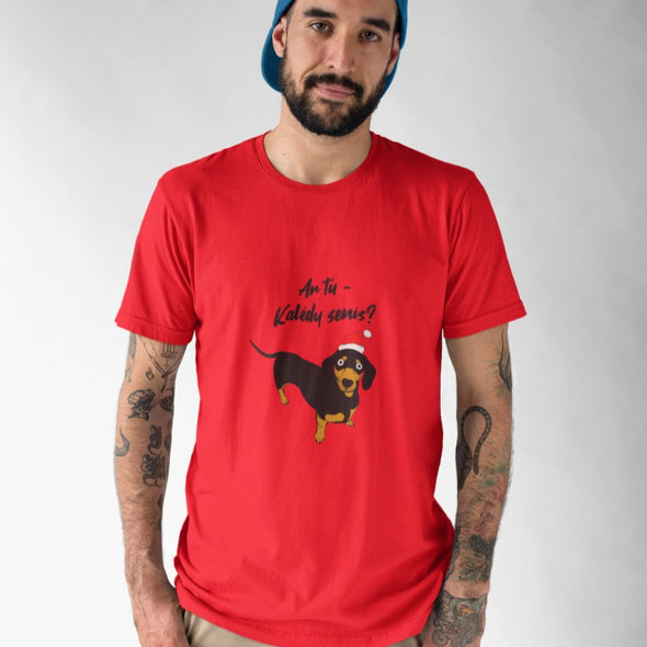 Raudoni UNISEX kalėdiniai marškinėliai "Ar tu Kalėdų senis?"