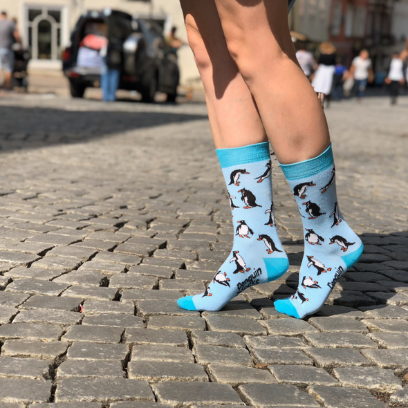 Linksmieji pingvinai - Linksmos mėlynos kojinės (Penguin socks)