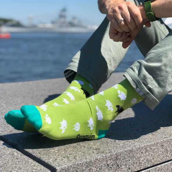 Avys pievoje - Linksmos žalios kojinės vyrams (Penguin socks)