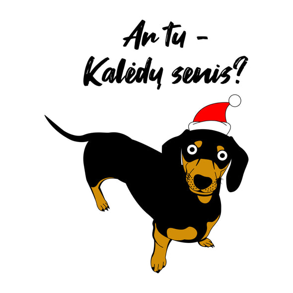 Baltas UNISEX kalėdinis džemperis be gobtuvo "Ar tu Kalėdų senis?"