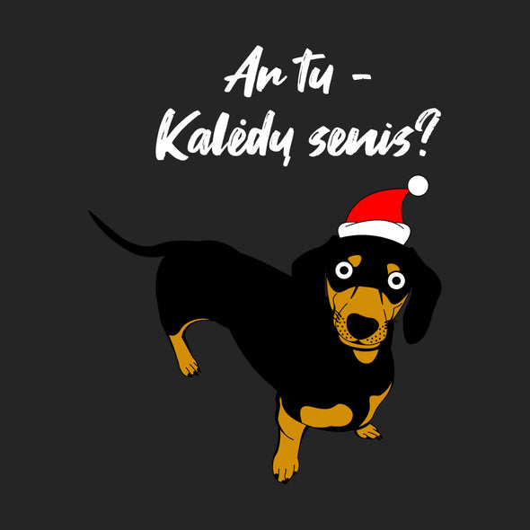Juodas UNISEX kalėdinis džemperis be gobtuvo "Ar tu Kalėdų senis?"