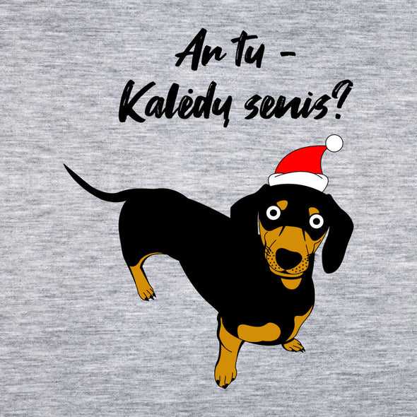 Pilkas melanžinis UNISEX kalėdinis džemperis be gobtuvo "Ar tu Kalėdų senis?"