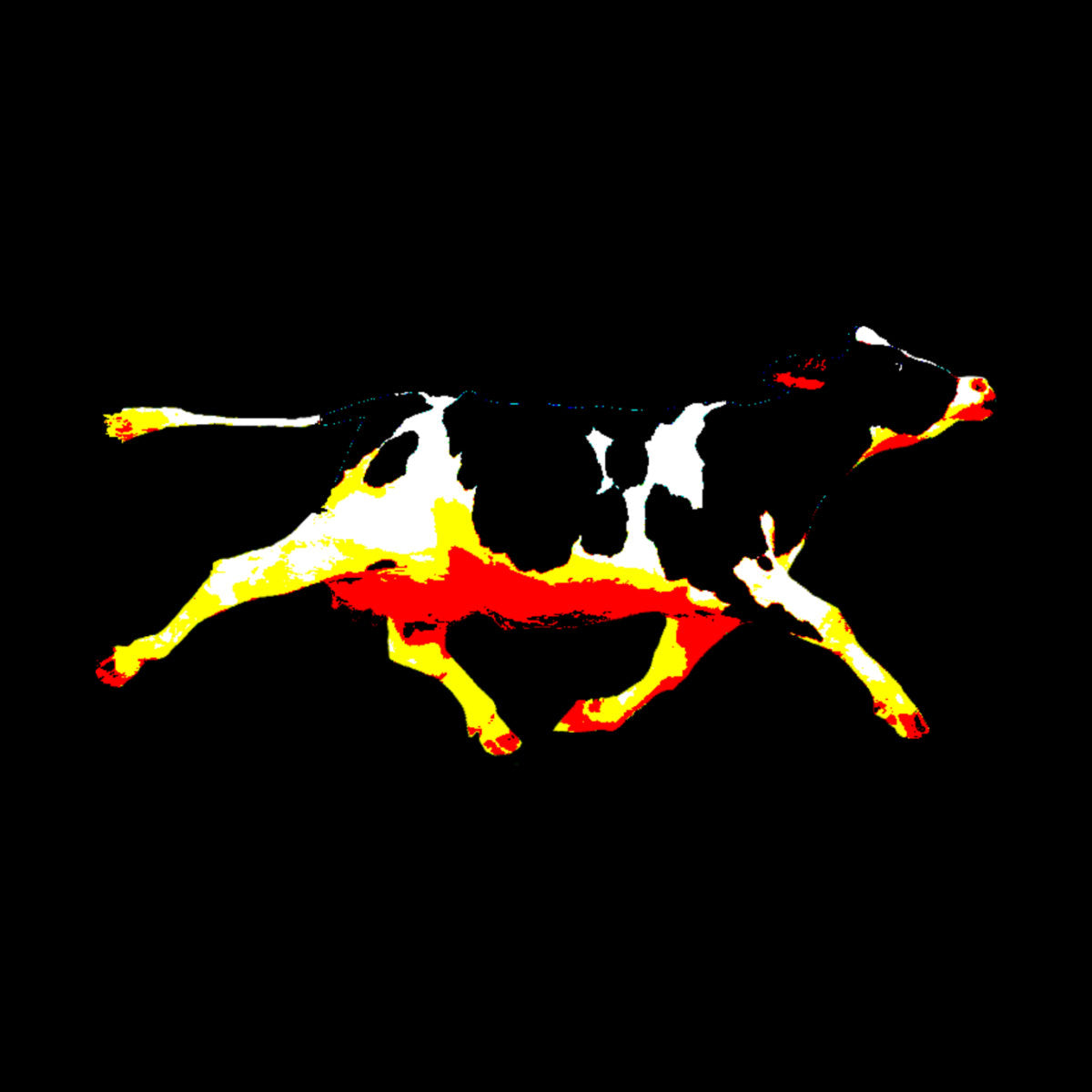 Juodi UNISEX marškinėliai "Bėganti karvė"