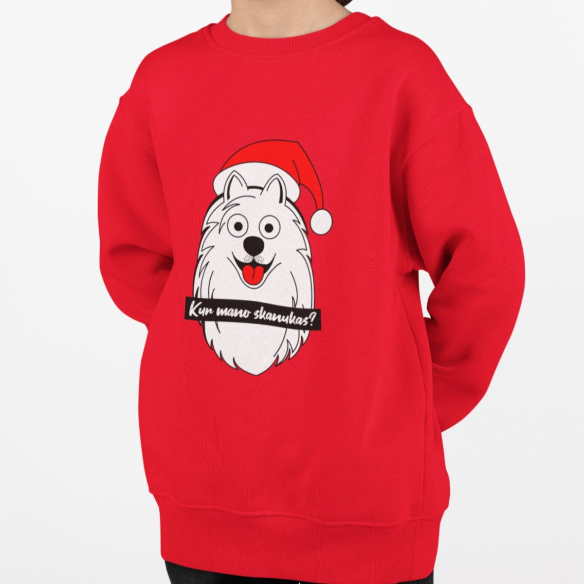 Vaikiškas raudonas kalėdinis džemperis "Kur mano skanukas"