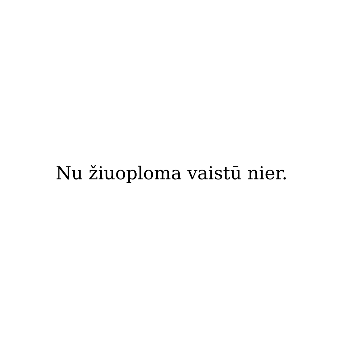 Baltas džemperis be gobtuvo su žemaitišku užrašu "Nu žiuoploma vaistū nier."